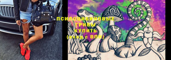 spice Алексеевка