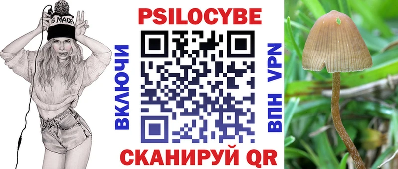 где найти   Артёмовск  Псилоцибиновые грибы ЛСД 